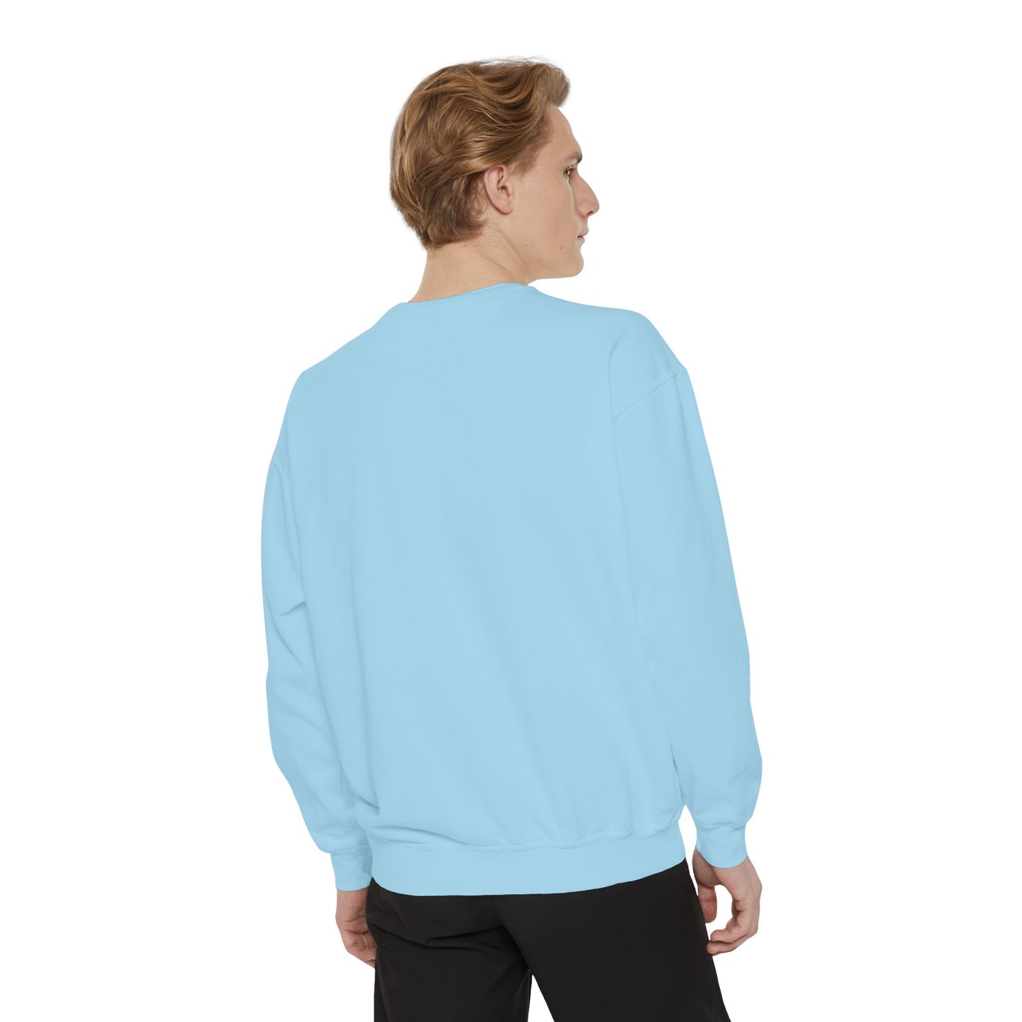 Crown Minimalist Sweatshirt — Small Chest Crown Logo